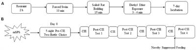 Chronic Intermittent Ethanol Exposure Increases Ethanol Consumption Following Traumatic Stress Exposure in Mice